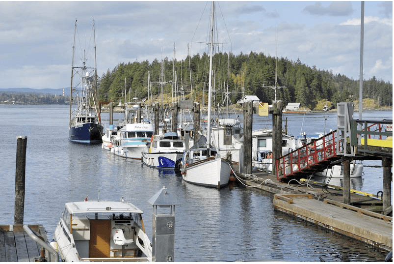 Panoramic view of Quathiaski Cove